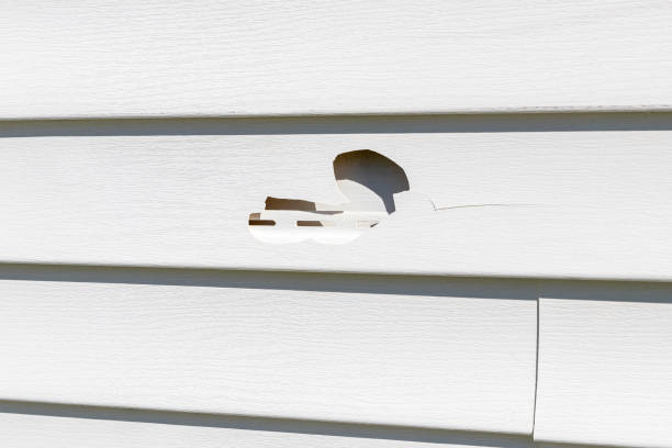 Affordable Siding Repair and Maintenance Services in Dunnavant, AL